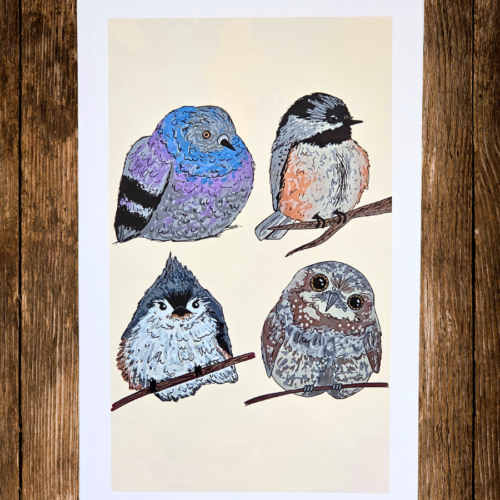 Fat Birds Thumbnail PPA Fat Birds Print